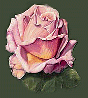 bord_floral_287a (179x200, 25Kb)