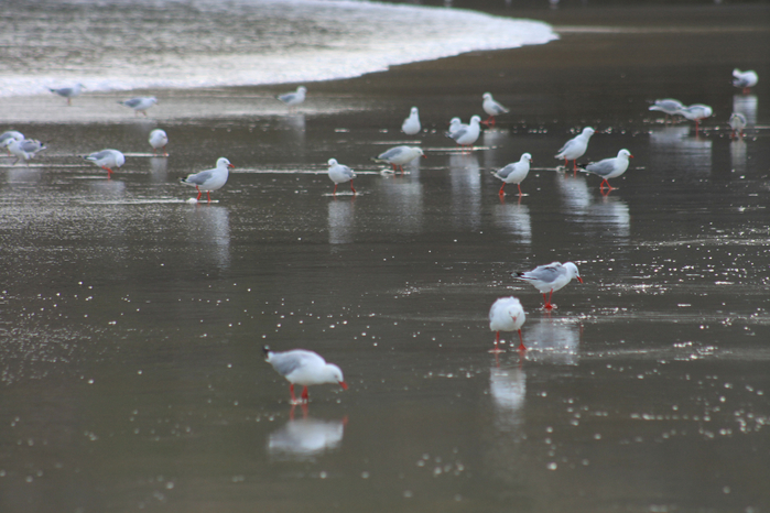 088 (700x466, 358Kb)
