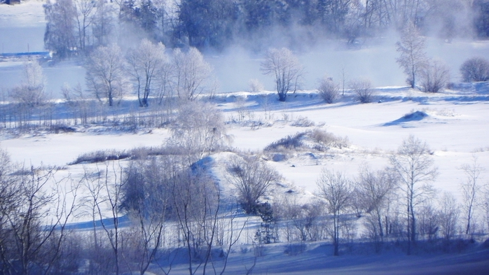 DSCN8439 (700x393, 223Kb)