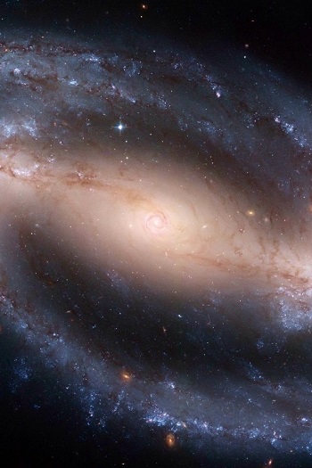desktopwallpapers_org_ua-2396 (350x525, 66Kb)