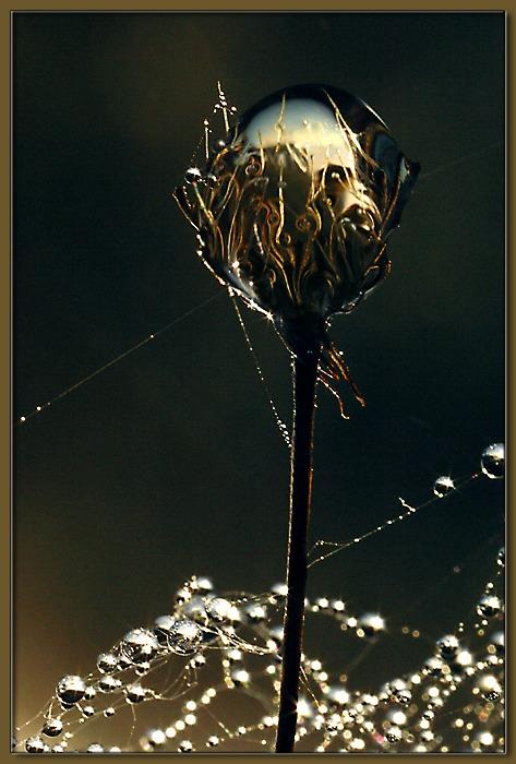 37316657_1884471lg (473x700, 46Kb)