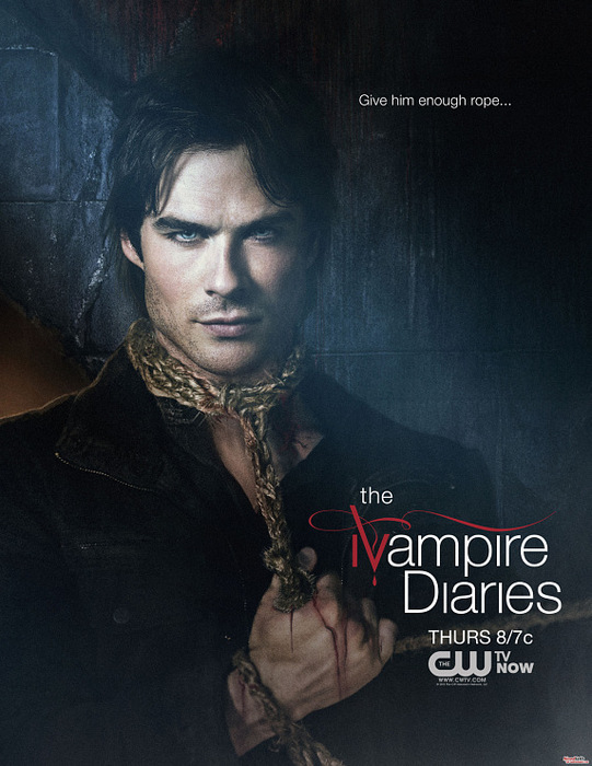 2190673_The_Vampire_Diaries665 (541x700, 121Kb)