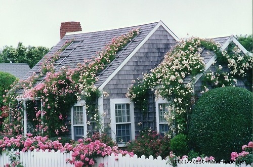 cottage-cute-exterior-flowers-house-vintage-Favim.com-57181 (500x330, 163Kb)