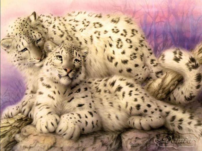 Beautiful_Fantasy_Snow_Leopards_Wallpaper_2ss19 (700x525, 62Kb)