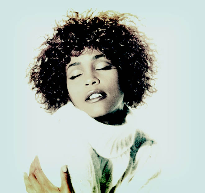 Whitney-Houston (660x621, 70Kb)