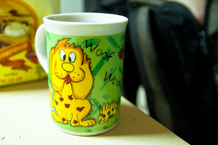IMG_6007 (700x467, 247Kb)