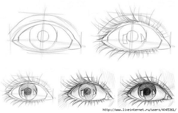 Как нарисовать реалистичный глаз поэтапно карандашом - уроки рисован�ия для начинающих