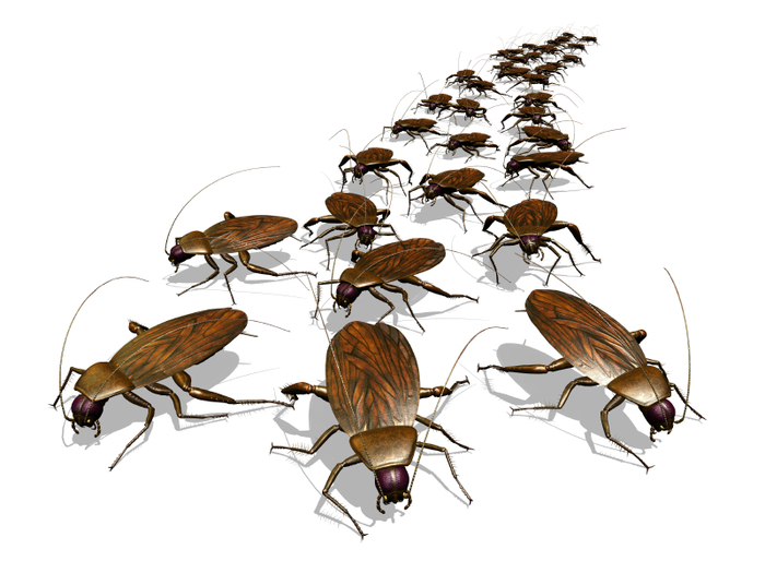 istock_000009606674small (700x525, 225Kb)