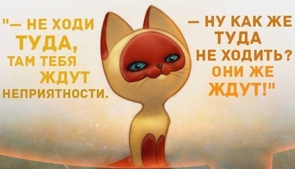 1361267106_IMG_0717 (600x343, 64Kb)
