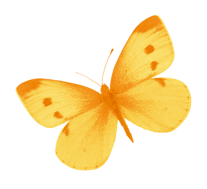 vesidesign_at_butterfly1 (700x641, 279Kb)