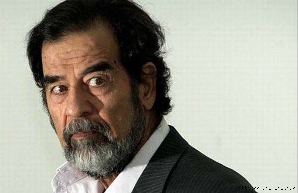 4497432_saddam_2 (600x388, 86Kb)