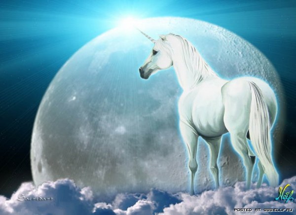 1223330533_unicorn203 (600x436, 46Kb)