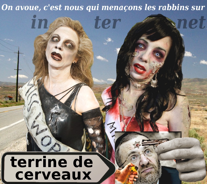 Terrine de cerveau sur Internet./5046362_Terrine (700x620, 220Kb)