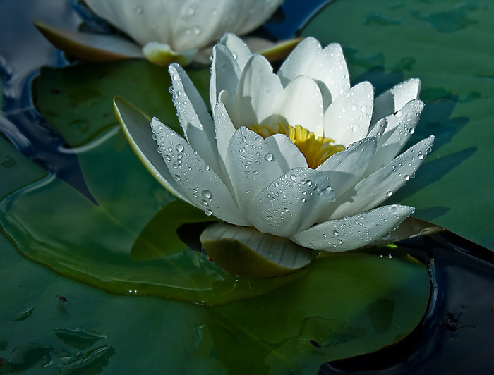 0_634f2_916f0ae6_XL (700x532, 106Kb)