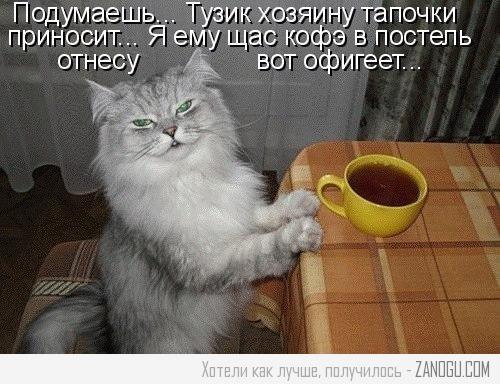 7 (500x384, 47Kb)