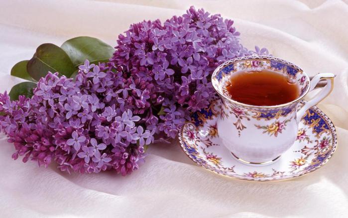 89370958_lilac_and_tea_widescreen_wallpaper_38906 (699x437, 53Kb)