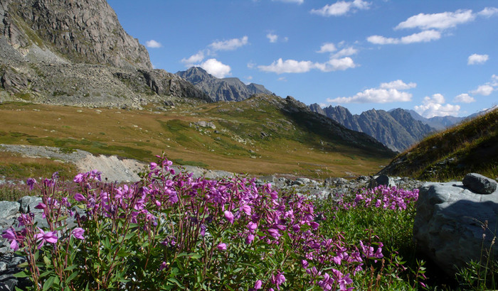 Рассмотрите фото швейцарских альп рис 179