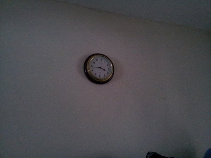 20130212_154120 (700x525, 147Kb)