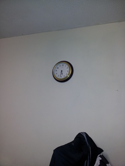 20130212_172902 (525x700, 108Kb)