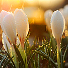big_fotometki_image_eb0ce2af (135x135, 51Kb)