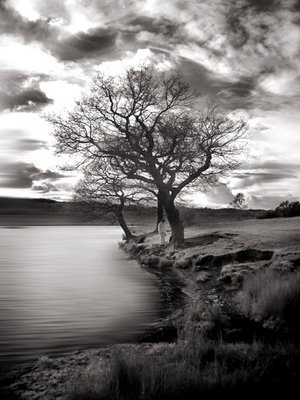 another_lonely_day_ (300x400, 31Kb)