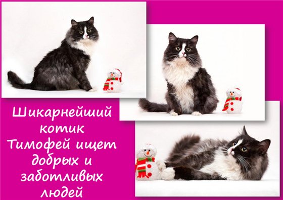  (560x396, 44Kb)