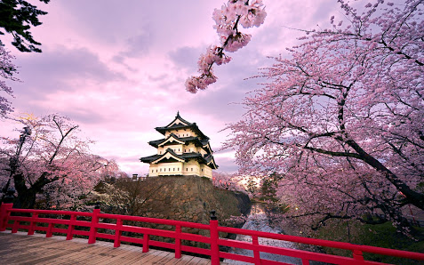 hirosaki_castle_japan-wide (477x298, 78Kb)