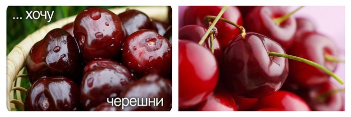 PicMonkey Collage (700x233, 46Kb)