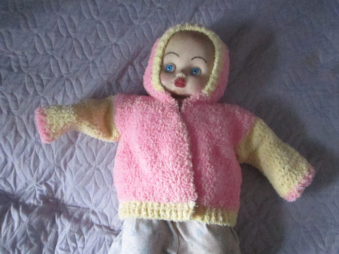 IMG_0331 (700x525, 396Kb)