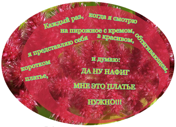 3796838_otkr2 (700x509, 780Kb)