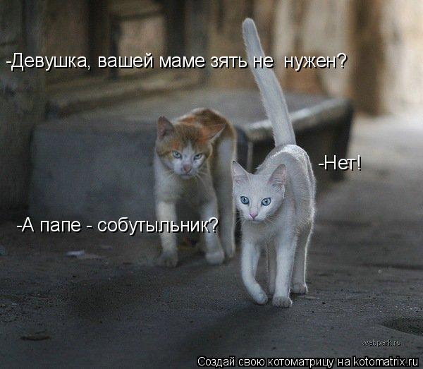     (600x523, 44Kb)
