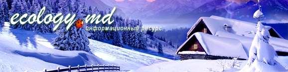 logo2013-zima (578x145, 74Kb)
