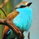 big_fotometki_image_ac7e678b (135x135, 34Kb)
