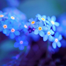 big_fotometki_image_a771940c (135x135, 38Kb)