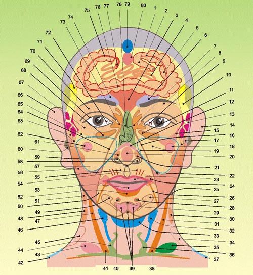 diagnostika (500x544, 61Kb)