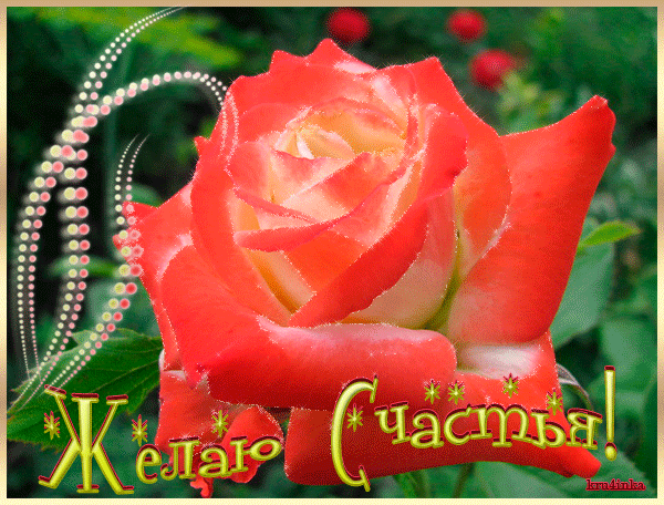 курица по французски в аэрогриле. 97076004 schastya. курица по французски в аэрогриле фото. курица по французски в аэрогриле-97076004 schastya. картинка курица по французски в аэрогриле. картинка 97076004 schastya. Мясо по-французски в аэрогриле (хоттер, редмонд, поларис, супра и других моделях) самое универсальное блюдо, которое готовится удивительно просто. Мясо получается сочным, мягким и вкусным. Приготовить можно из любого мяса (свинина, говядина, курица, баранина). Оно обязательно должно быть свежим и качественным. Резать мясо следует поперек волокон. Куски необходимо отбить с каждой стороны. Рецепт мяса по французски в аэрогриле классический, вкусный.
