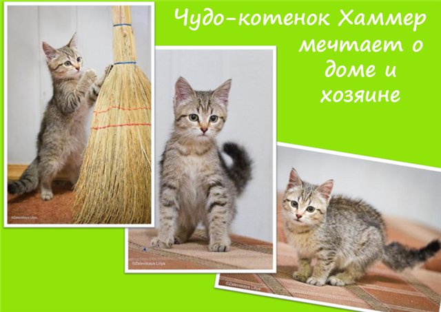  (640x453, 53Kb)