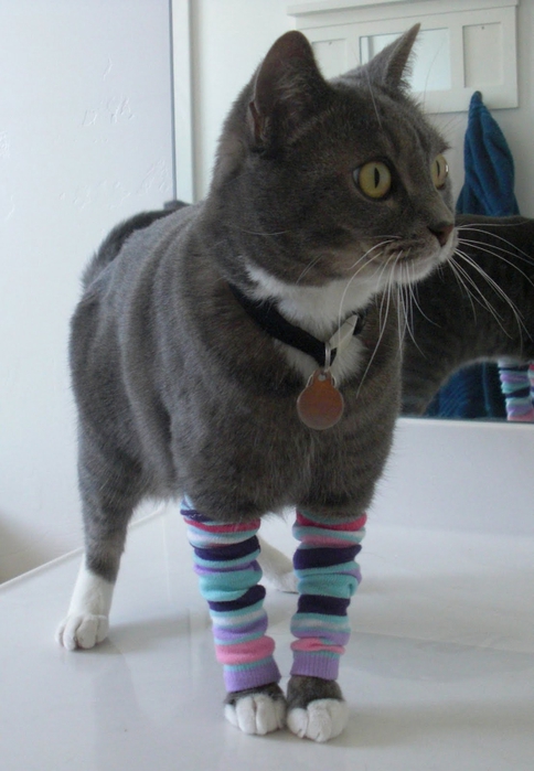 Как сшить котёнка из носков