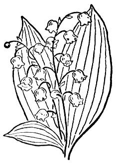 lily-of-the-valley-2-coloring-page (235x328, 22Kb)
