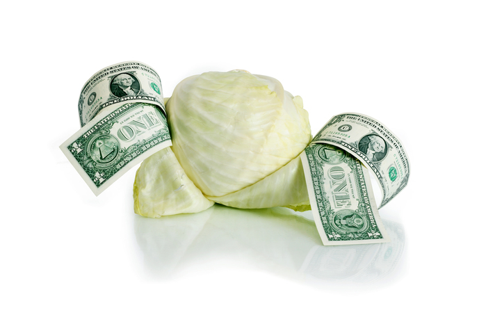 cabbage00011 (700x466, 134Kb)