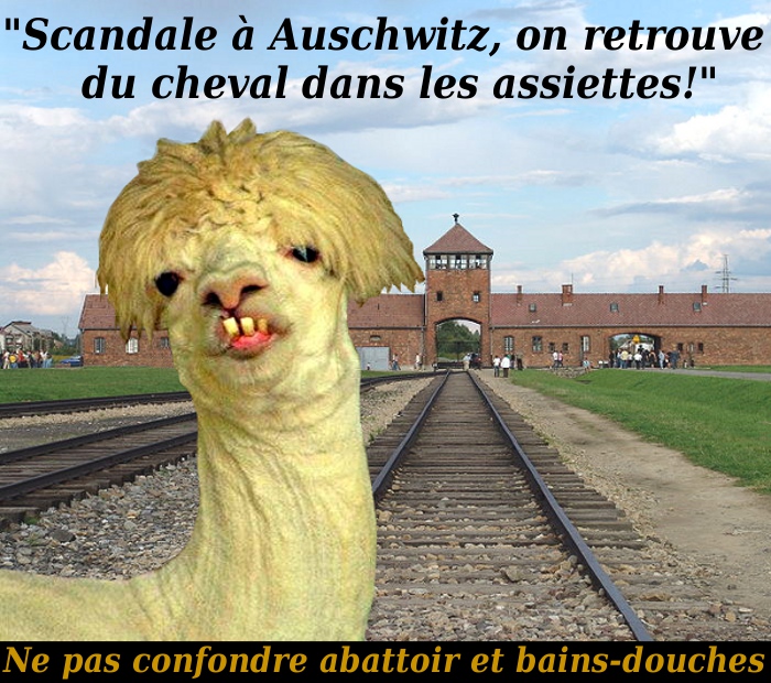 On retrouve du cheval dans les assiettes à Auschwitz./5046362_Birkenau_Cheval (700x620, 240Kb)