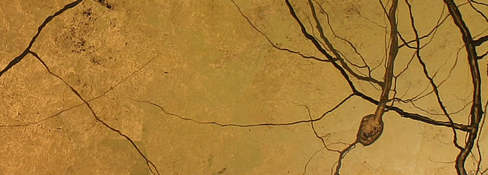 10-greg-dunn-gold-leaf-250 (695x250, 88Kb)