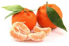 mandarina (243x164, 9Kb)