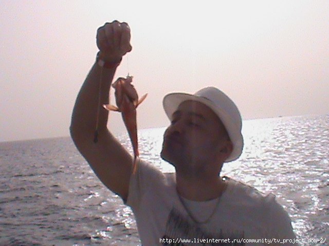9hYoq5wvop8 (640x480, 126Kb)