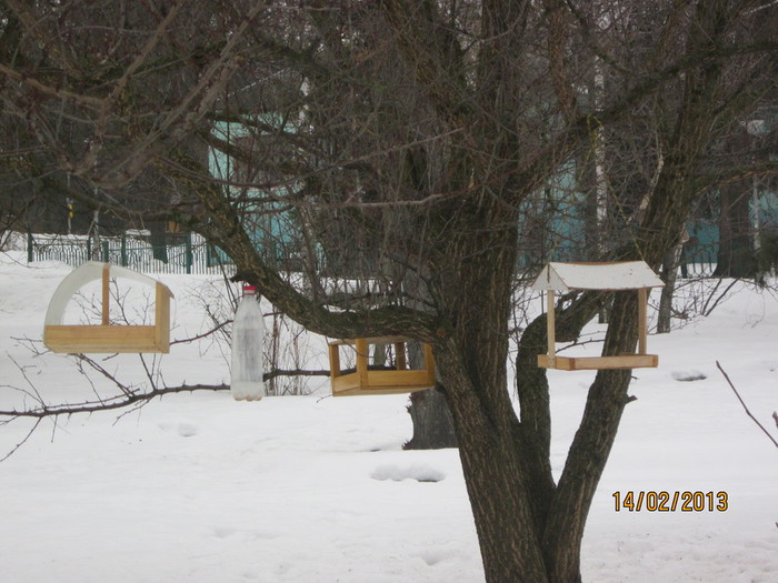 IMG_2102 (700x525, 105Kb)