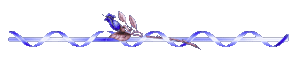 4080226__1 (300x64, 5Kb)