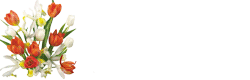 0_33284_8497199_M.gif.jpg (250x80, 19Kb)