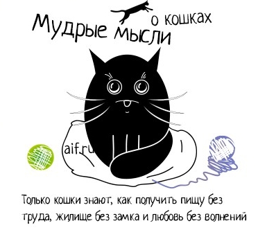 http://img0.liveinternet.ru/images/attach/c/7/97/956/97956270_d0ba5fd17c0b75db85a0808fbf3190390.jpg