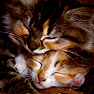 big_fotometki_image_2609a6a6 (135x135, 53Kb)