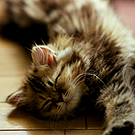 big_fotometki_image_8200538d (135x135, 46Kb)